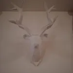 Bel-hues / Bel-haex Appartement *