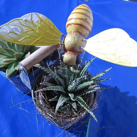 Апартаменты Bel-hues / Bel-haex *